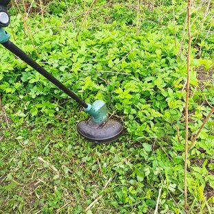 Инструменты и оборудование в деревне