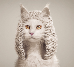 Из зала суда