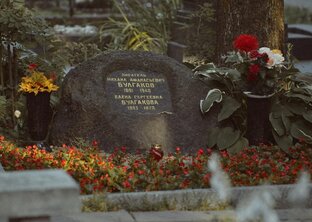 Новодевичье