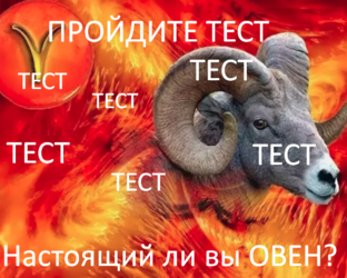 Пройдите ТЕСТЫ