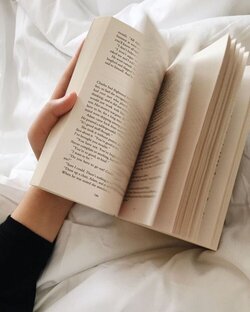 книжные рекомендации 📚