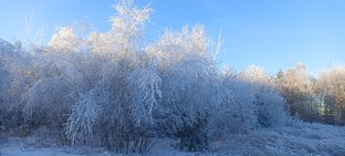 Пасека зимой! 