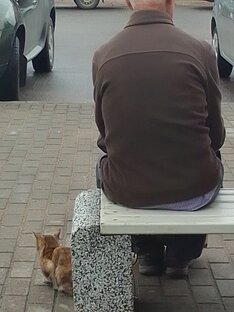 Рассказы о Кувшиново