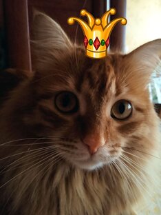 царевич Проша