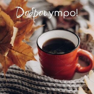 Доброе утро