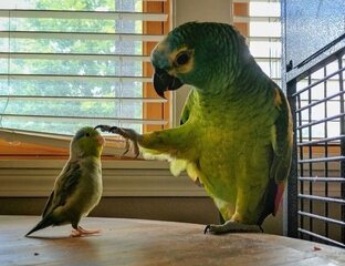 Полезные статьи