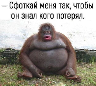 Юмор!!!Смех продлевает жизнь!!!🤣