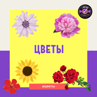 Цветы