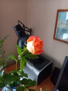 Статьи. Вопросы логопедии