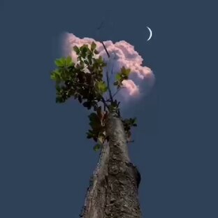 Про лубовь и чувства ❤️😻