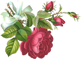 Идеи для вышивки лентами