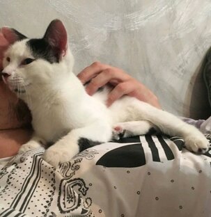 МЫ🐈🐕  нашли ДОМ🏡❤