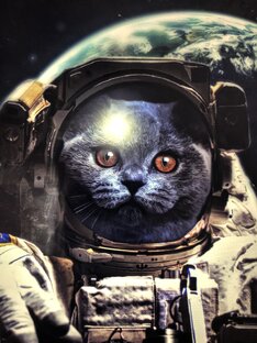 Данил маcлак новоcти!