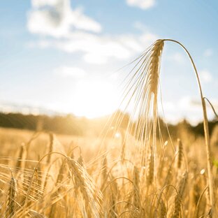 Двенадцать мощных убеждений для создания процветания
