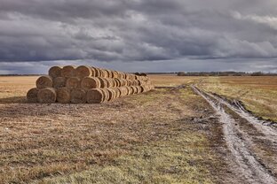 ОКТЯБРЬ УЖ НА ДВОРЕ