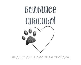 Спасибо♥️