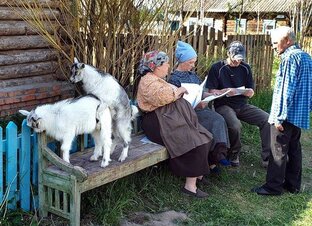 Выживание на селе