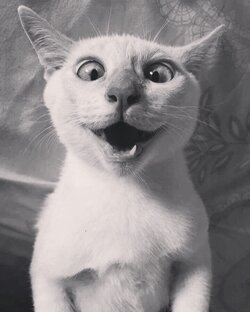 Видео-впечатления