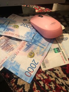 Заработок в интернете 