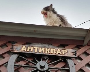 Антиквариат