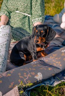 Собаня и котя