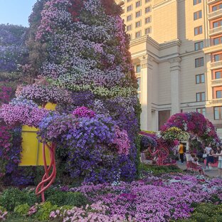 Видео прогулки