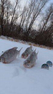 Зимняя рыбалка