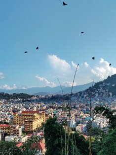 🇳🇵НЕПАЛ