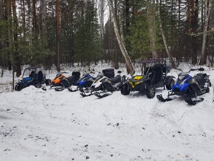 Писаревский прокат