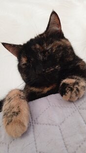 Наша Джессика 🥰