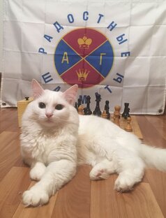 IM Александр Гельман