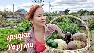 Грядки Розума