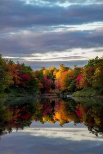 Стихи про осень!