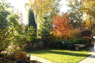 Лайфхаки. Садовые технологии