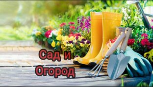 Сад и огород
