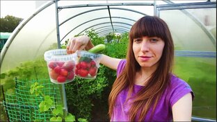 Наш дом и хозяйские дела