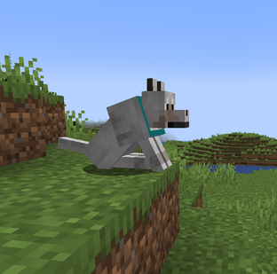 Интересные факты