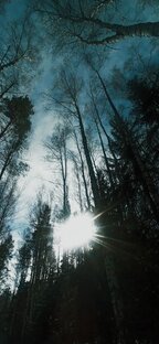 Походы, рыбалка (видео) 2022