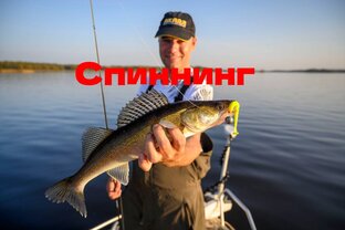 Рыбалка на спиннинг.