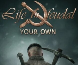 Life Is Feudal Your Own 