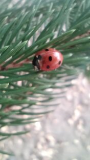 Мысли о разном