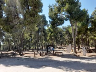 Природа Израиля 