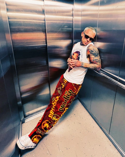 Штаны с рок группами