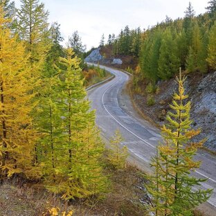 Эти тропы таёжные