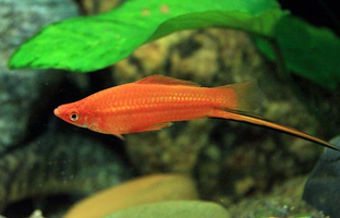 Подборка лучших публикаций