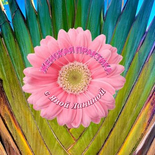 АВТОРСКИЕ ЖЕНСКИЕ ПРАКТИКИ 