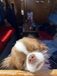 На Яхте по Волге 07.2022