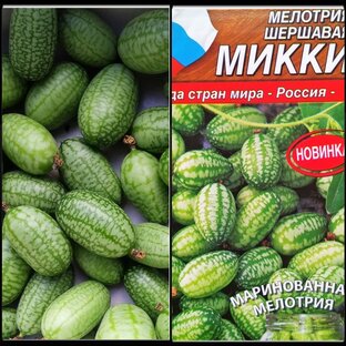 Экзотика в саду и дома