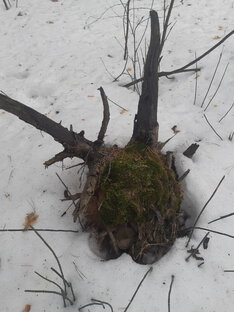 Заговоры на защиту