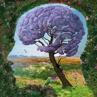 Психология саморазвития